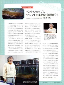 bpimg933 nik miyagi wo